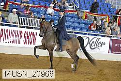 14usn_20966 proof