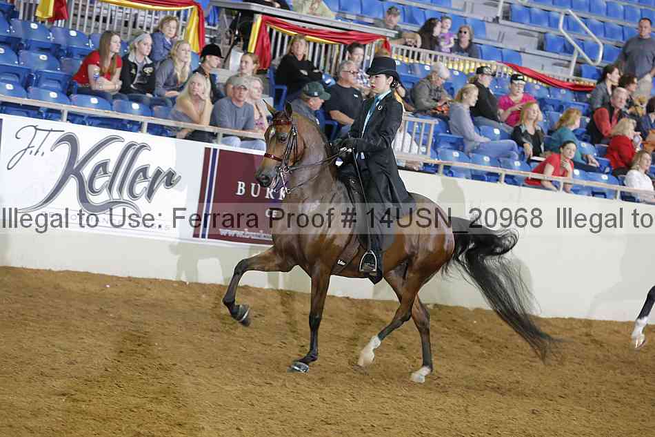 Proof 14usn_20968