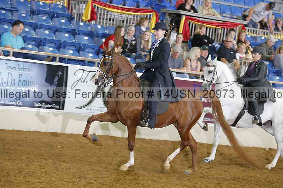 Proof 14usn_20973