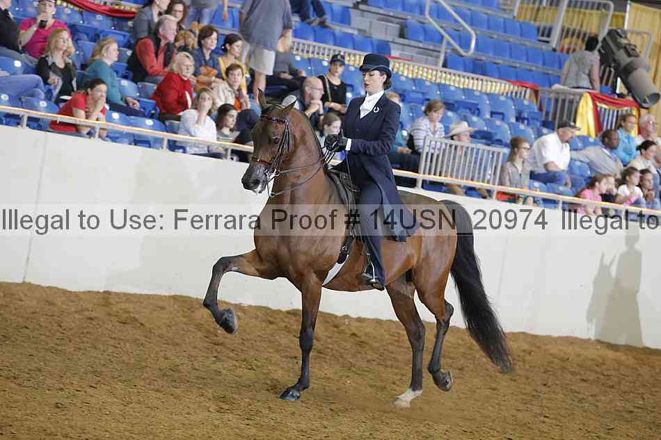 Proof 14usn_20974