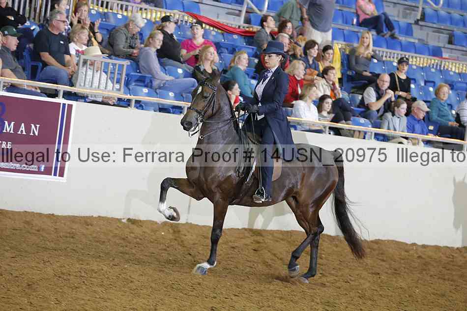 Proof 14usn_20975