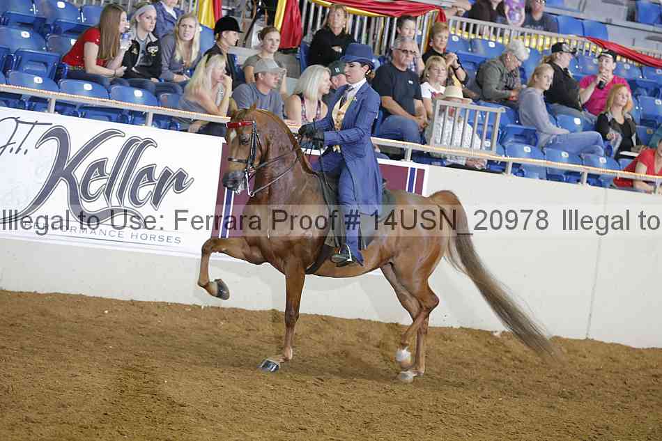 Proof 14usn_20978