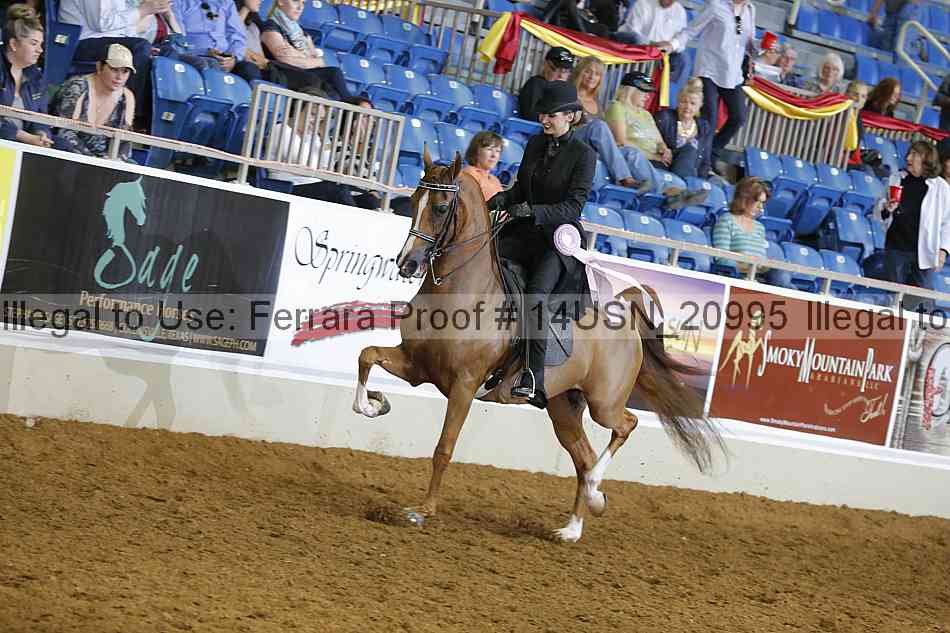 Proof 14usn_20995