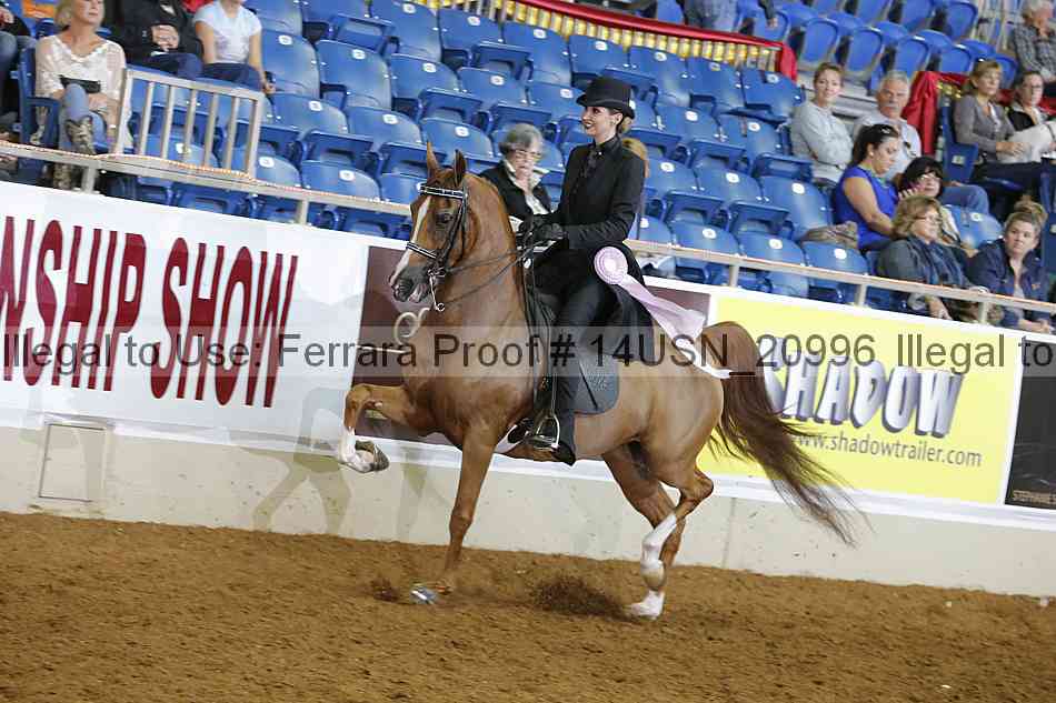 Proof 14usn_20996
