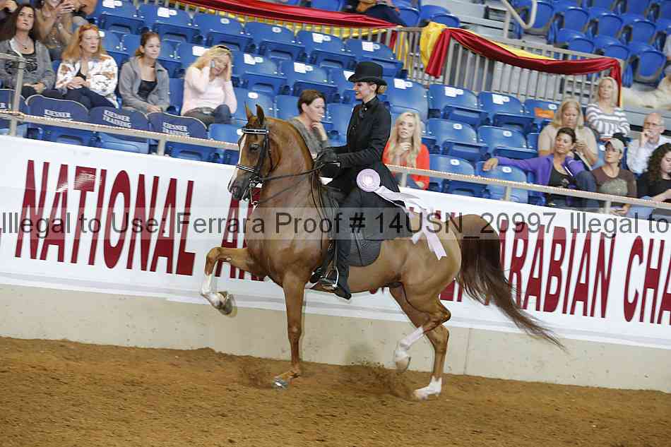 Proof 14usn_20997