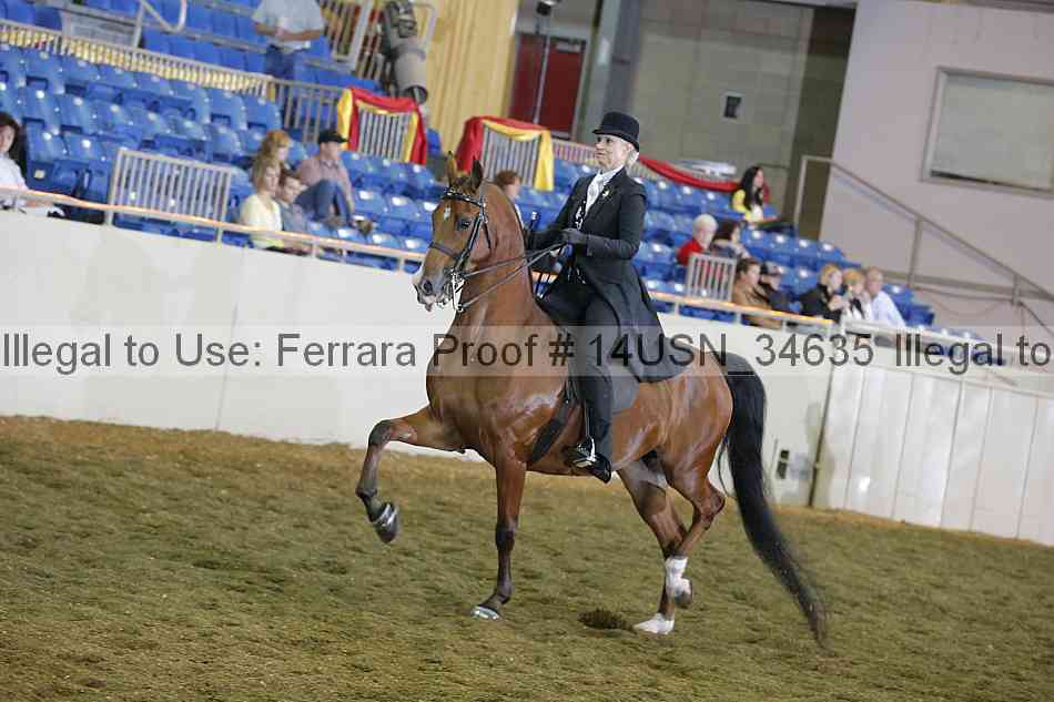 Proof 14usn_34635
