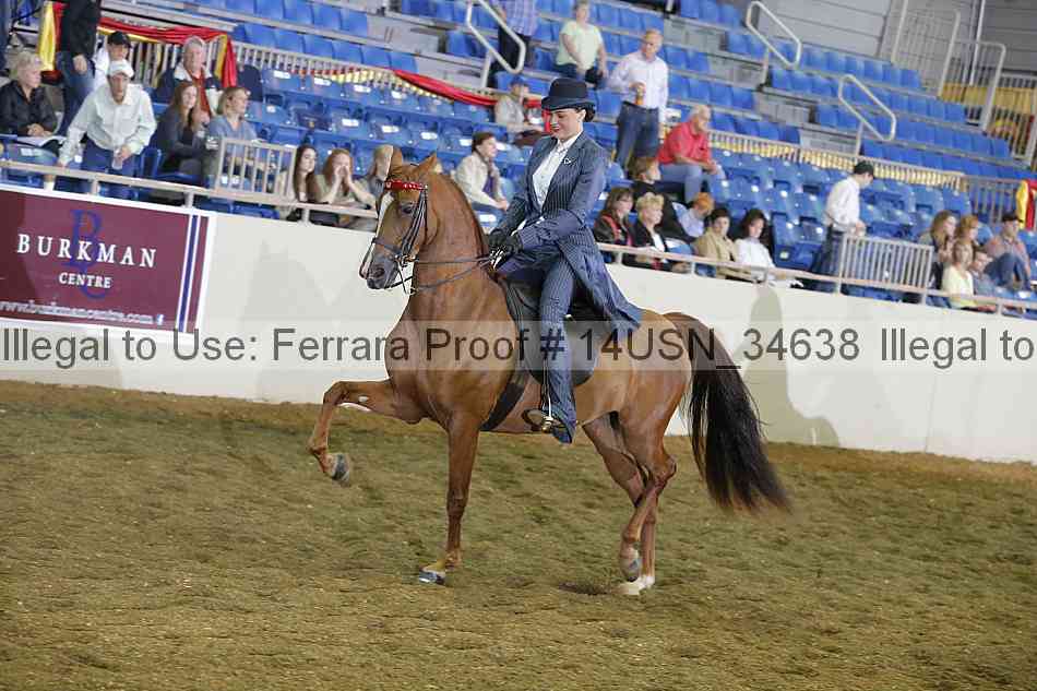 Proof 14usn_34638