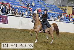 14usn_34653 proof