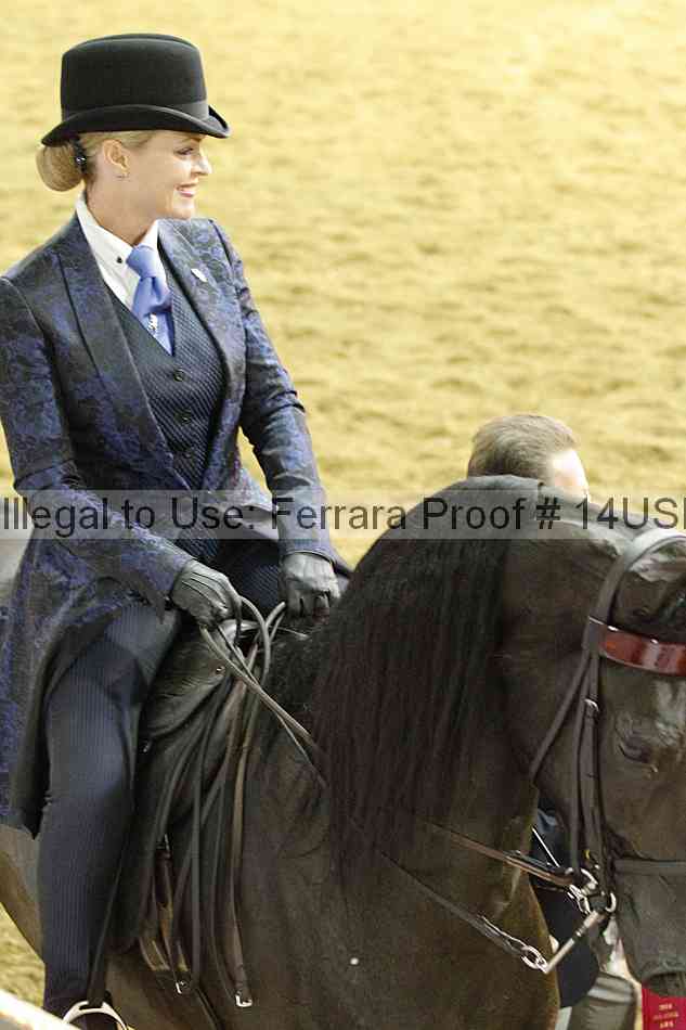Proof 14usn_34662