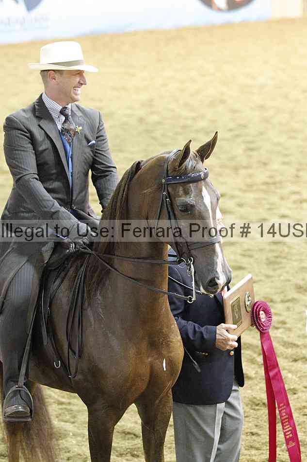 Proof 14usn_34680