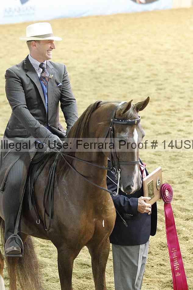Proof 14usn_34681