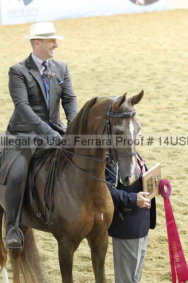 Proof 14usn_34682