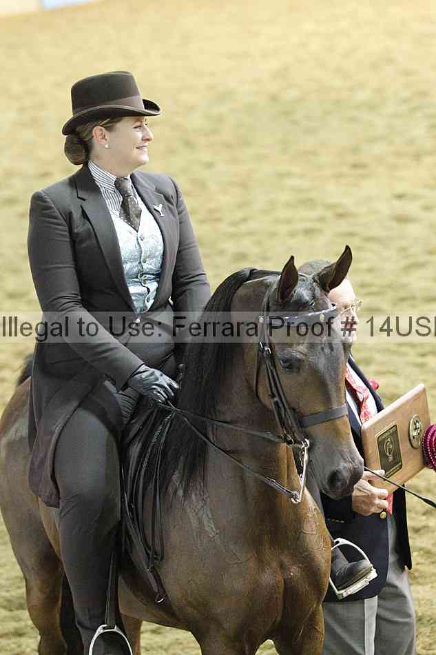 Proof 14usn_34690