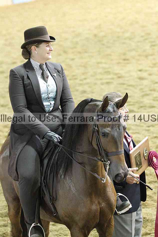 Proof 14usn_34691