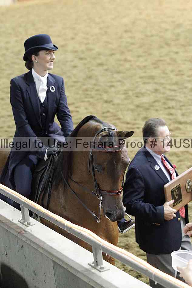 Proof 14usn_34695
