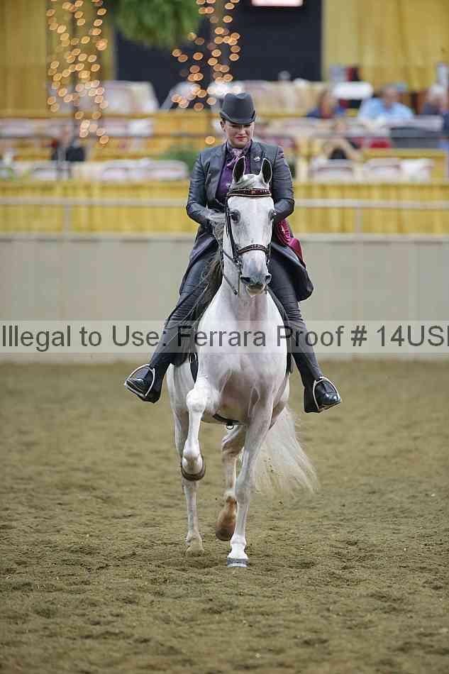 Proof 14usn_34709