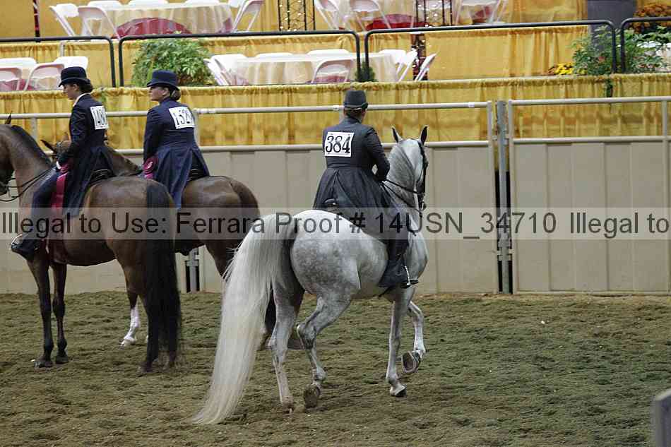Proof 14usn_34710