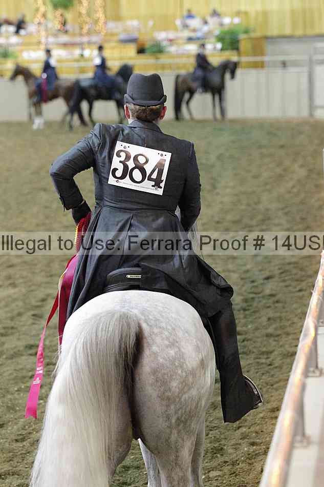 Proof 14usn_34731
