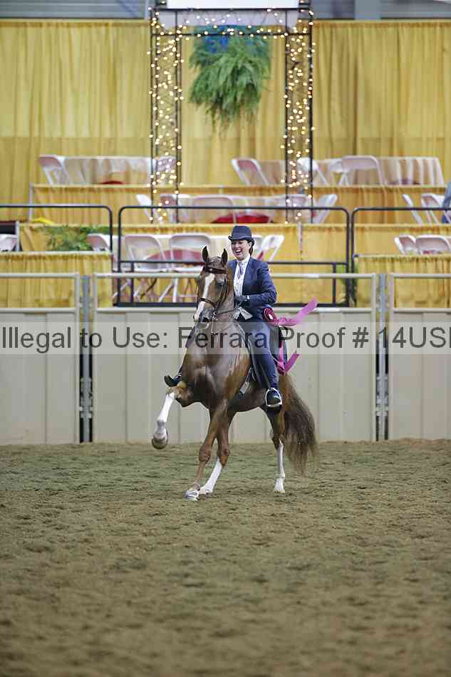 Proof 14usn_34733