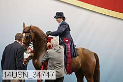 14usn_34747 proof