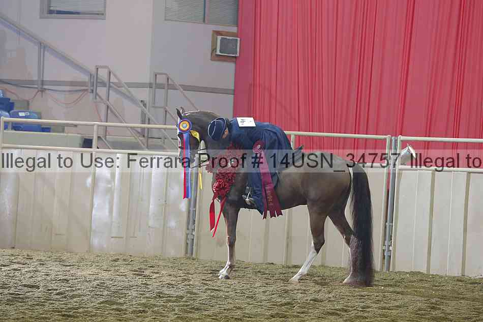 Proof 14usn_34757