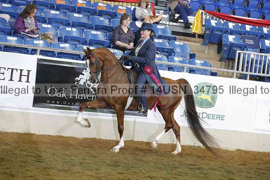 Proof 14usn_34795