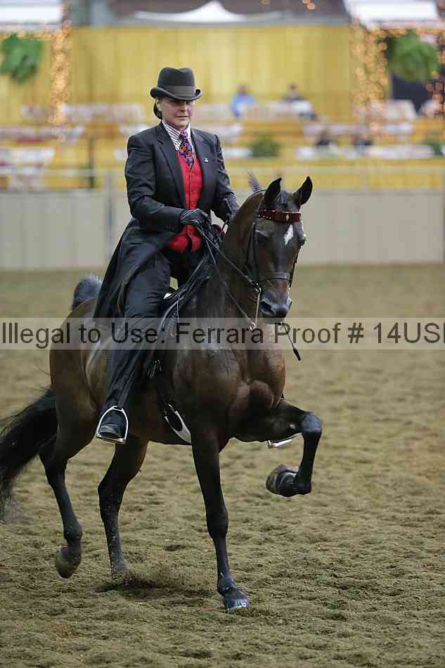 Proof 14usn_34799