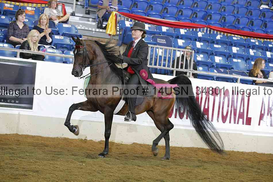 Proof 14usn_34801