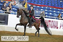 14usn_34801 proof
