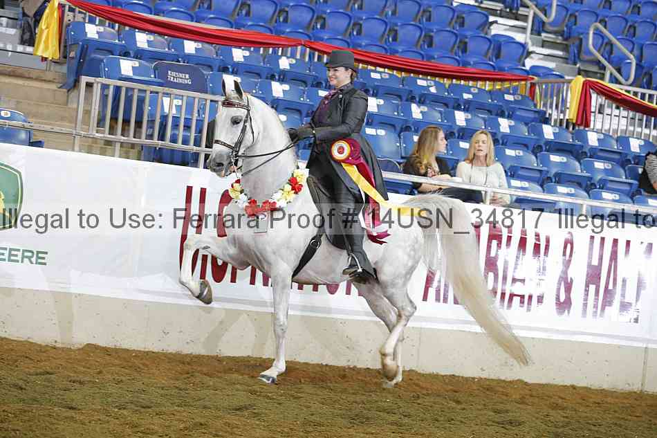 Proof 14usn_34817