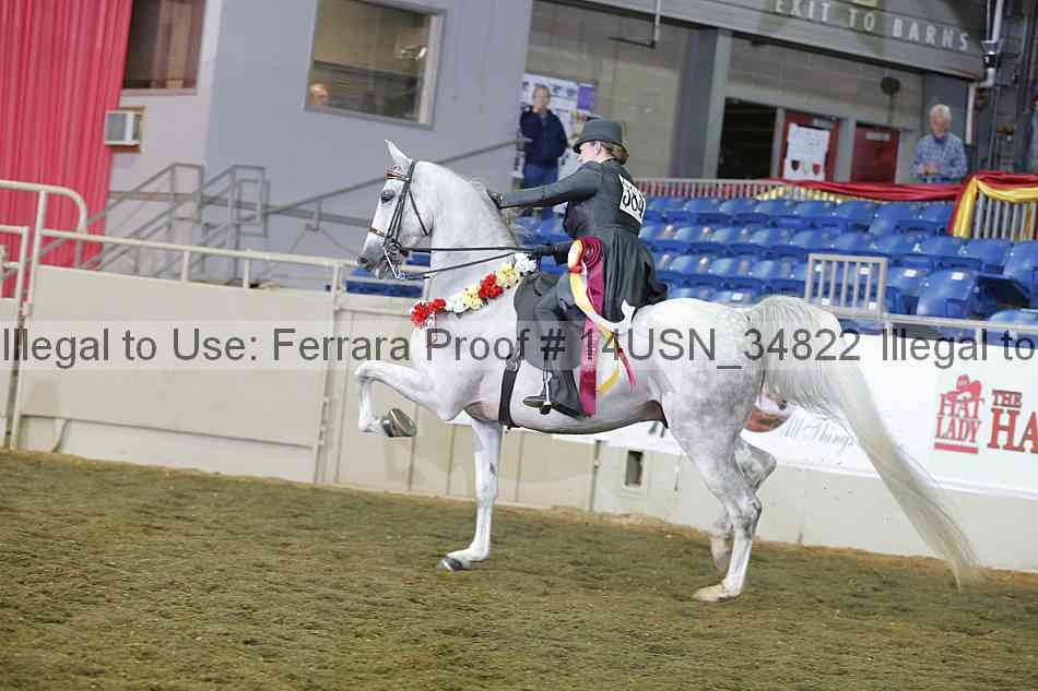 Proof 14usn_34822