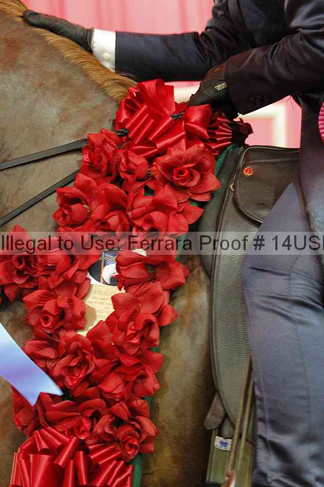 Proof 14usn_34855