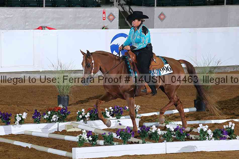 Proof 14usn_04463