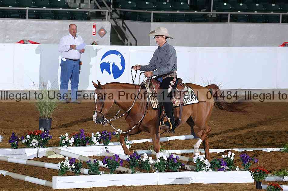 Proof 14usn_04484