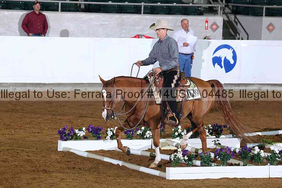 Proof 14usn_04485