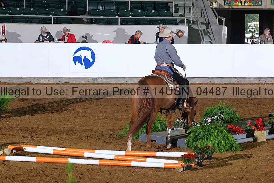 Proof 14usn_04487