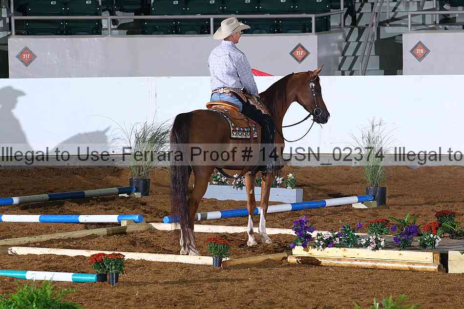 Proof 14usn_02374