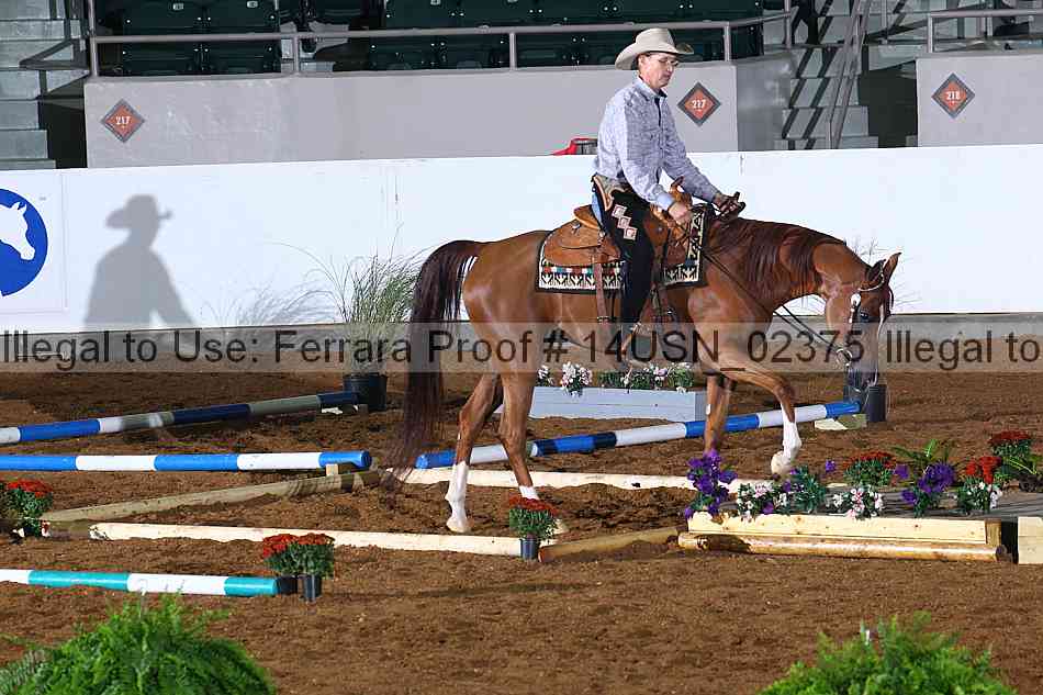 Proof 14usn_02375