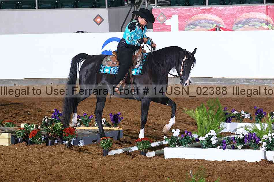 Proof 14usn_02388