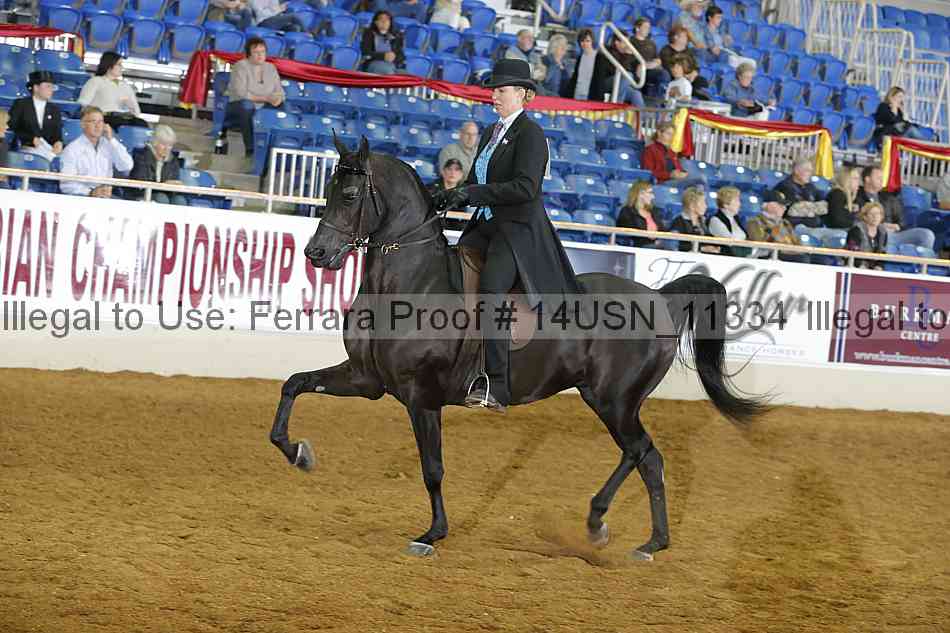 Proof 14usn_11334