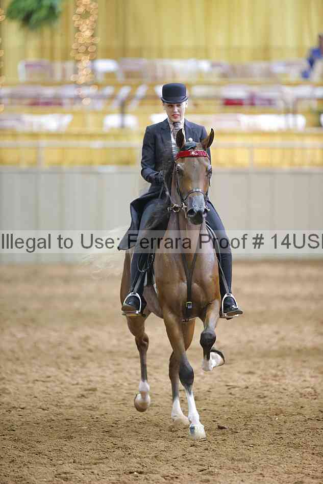 Proof 14usn_11345