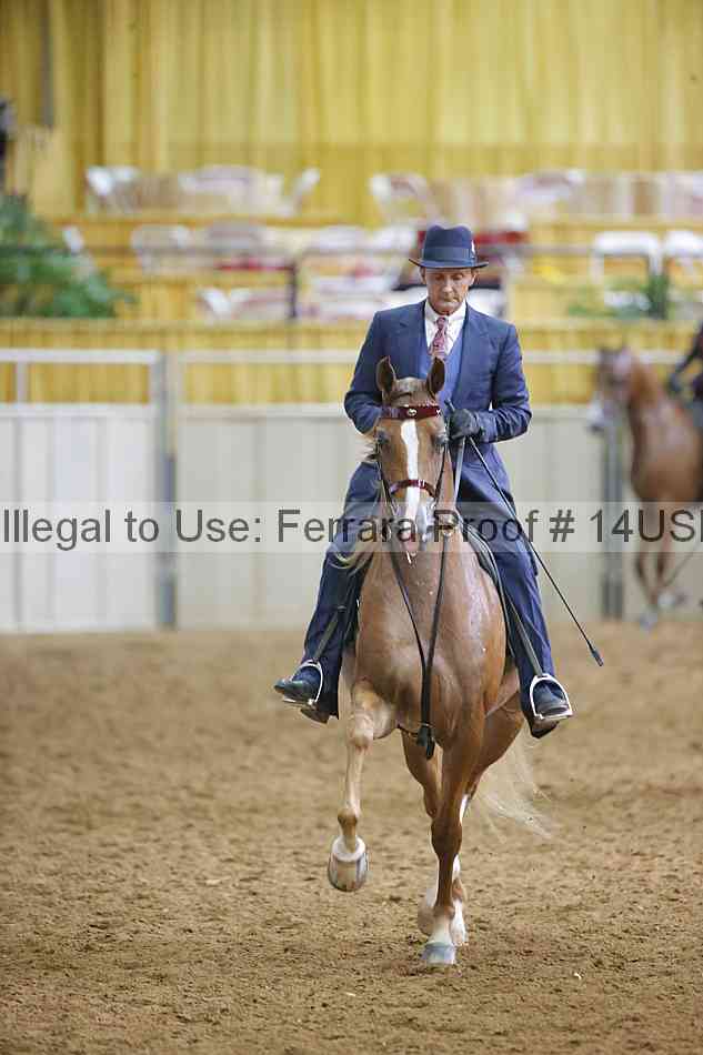 Proof 14usn_11348