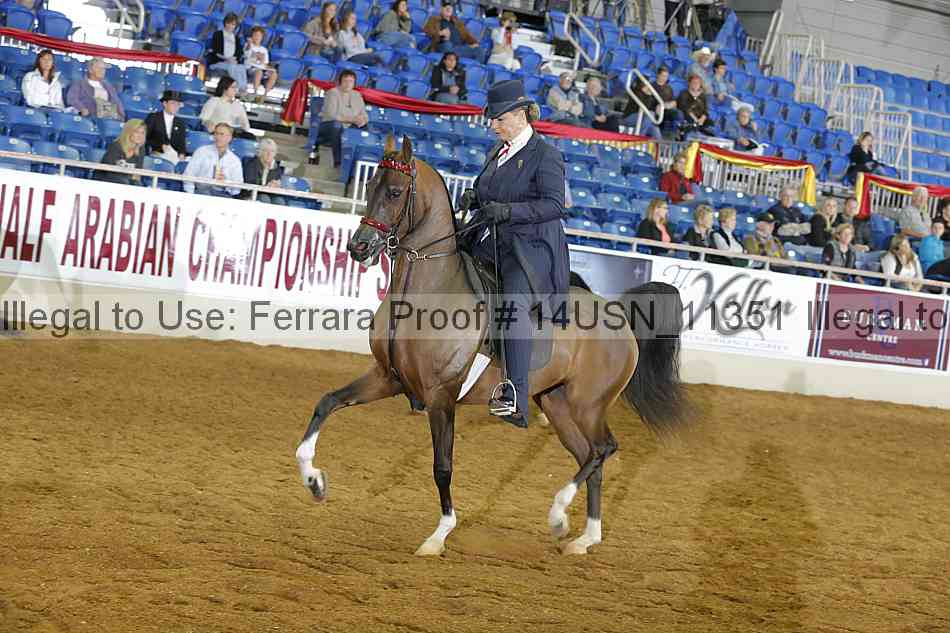 Proof 14usn_11351