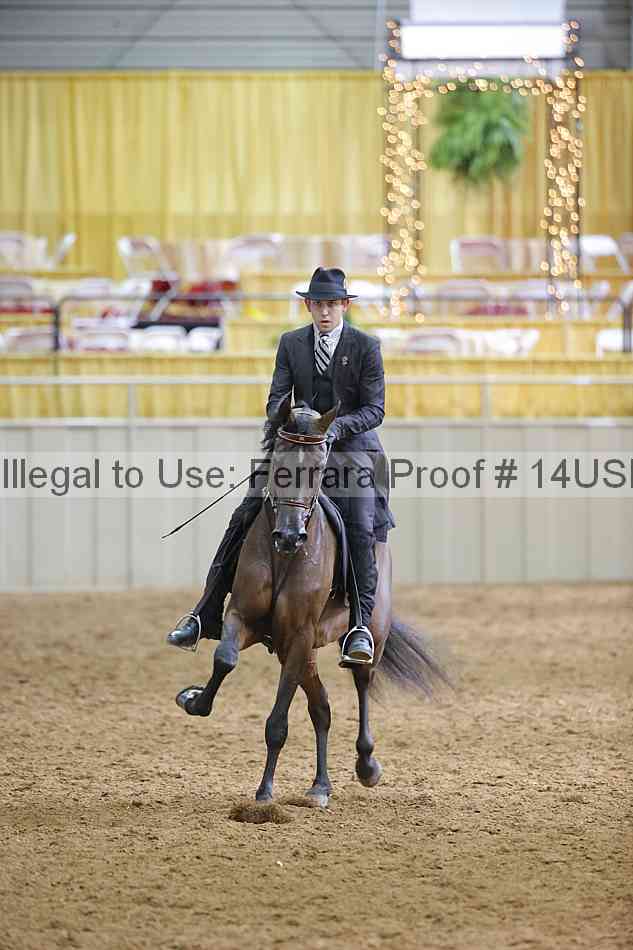 Proof 14usn_11364