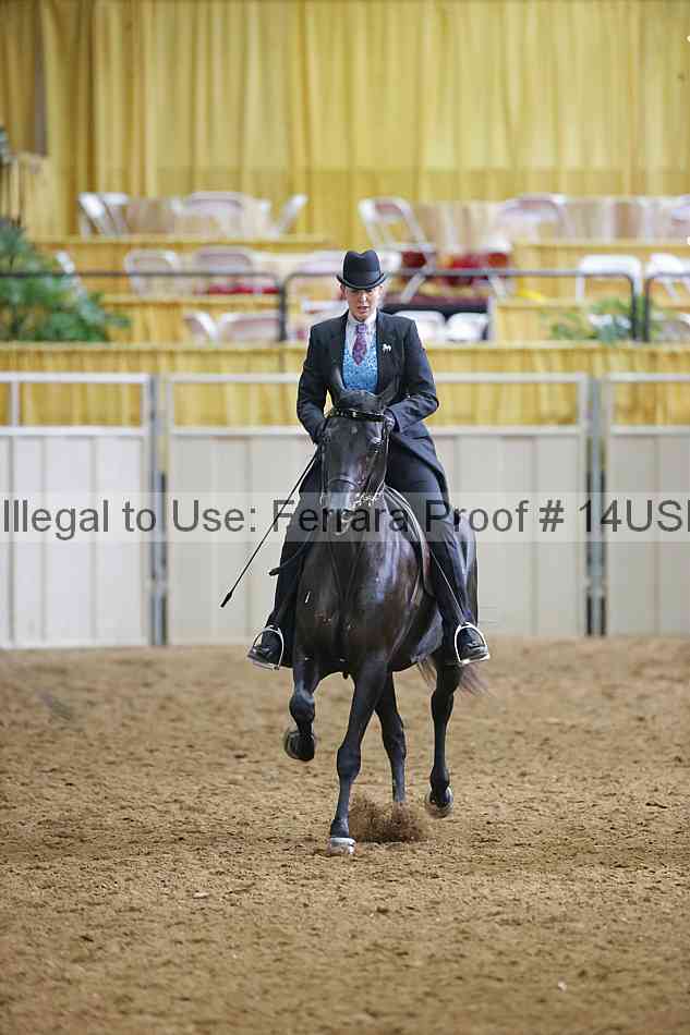 Proof 14usn_11374