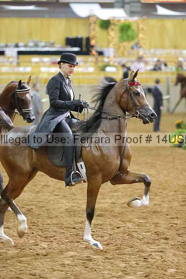 Proof 14usn_11390
