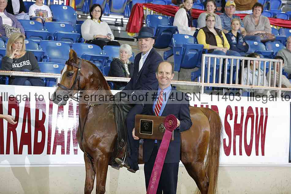 Proof 14usn_11403