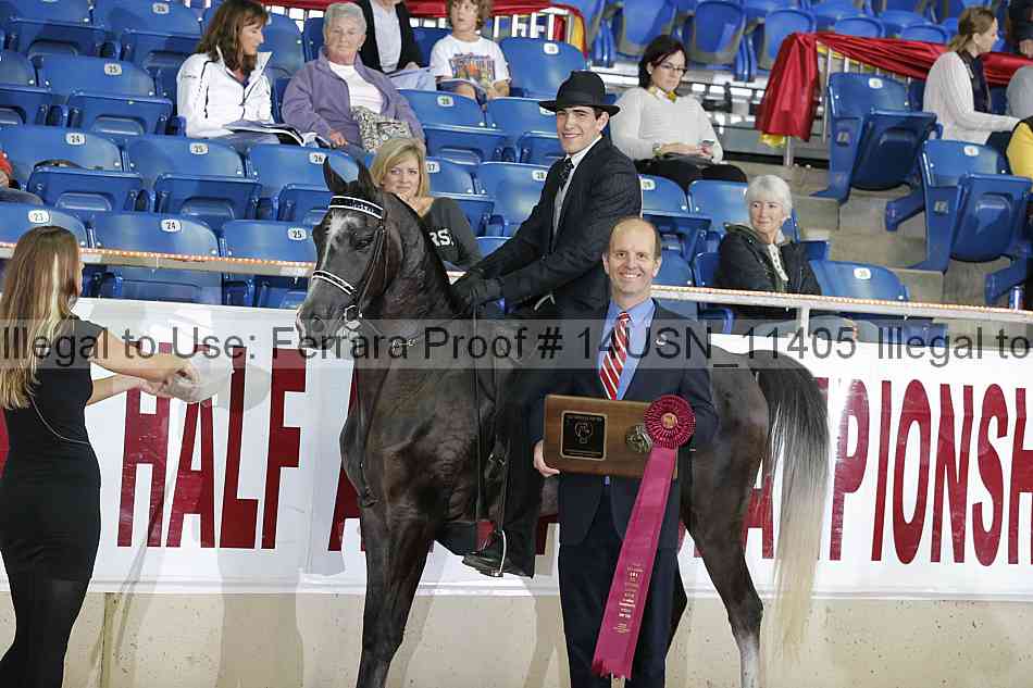 Proof 14usn_11405
