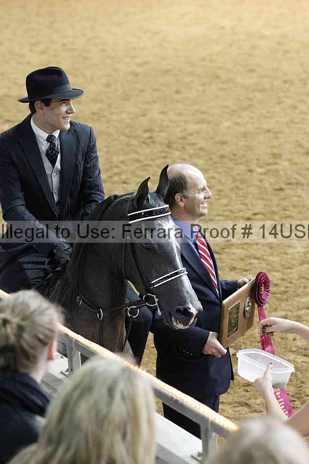 Proof 14usn_11407