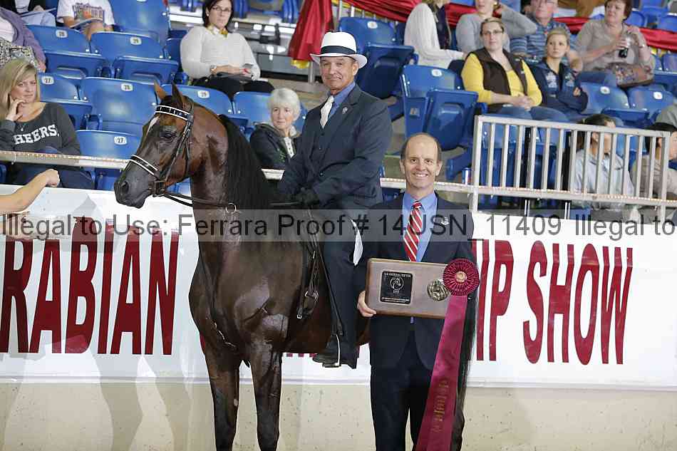 Proof 14usn_11409